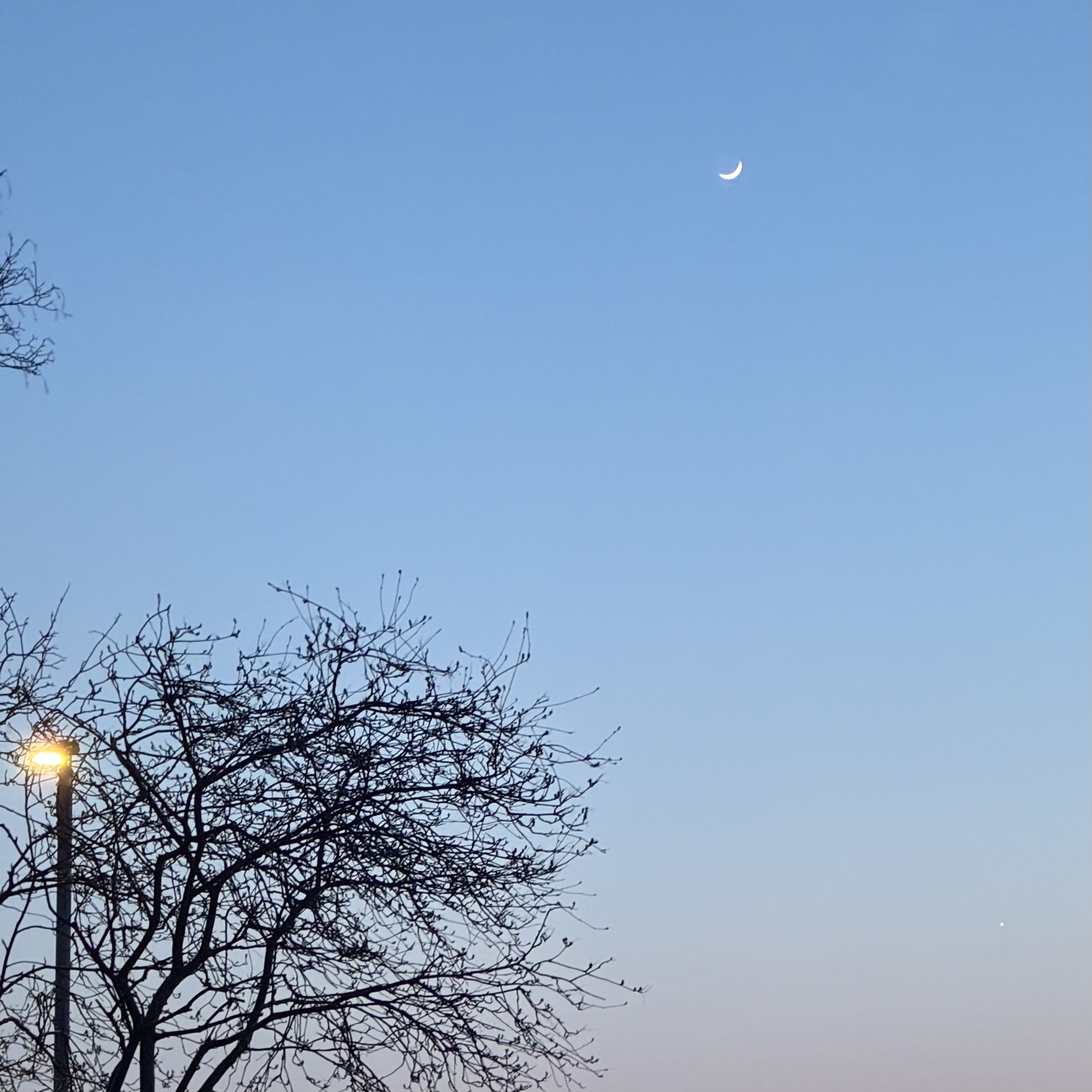 How Could I Not Fall For You (Cover)